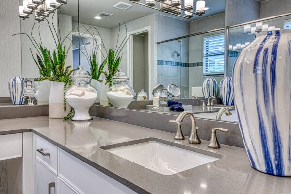 GL_Homes_n_Val_Walk_Model_521_FINAL-29 - Master Bath