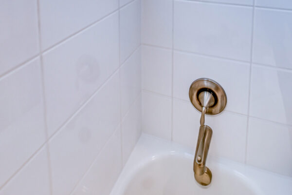 GL_Homes_n_Val_Walk_Model_521_FINAL-35 - 2nd Bath