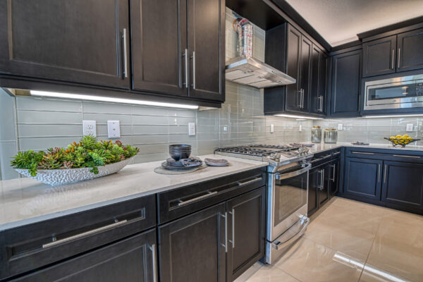 GL_Homes_p_Val_Walk_Model_525_FINAL-17 - Kitchen